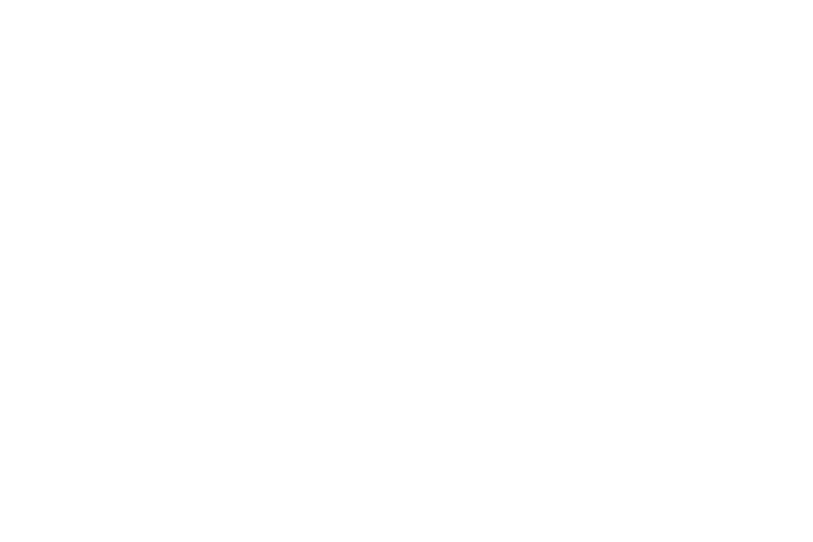 Elsea Digital